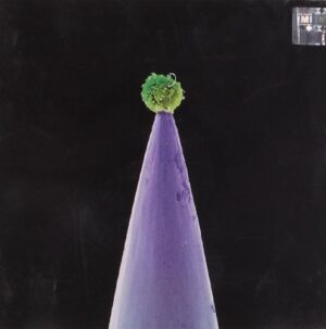 Peter Gabriel - New Blood  (CD)