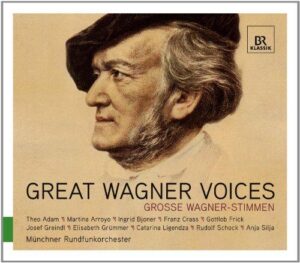 Great Wagner Voices (CD, Br-Klassik)