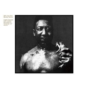 Muddy Waters - After the Rain (LP, Get On Down)