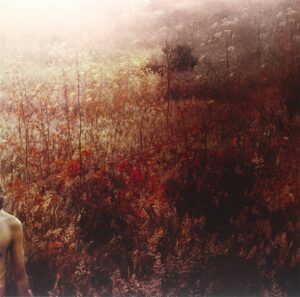 Sebastian Plano - Arrhythmical Part of Hearts (LP, Denovali)