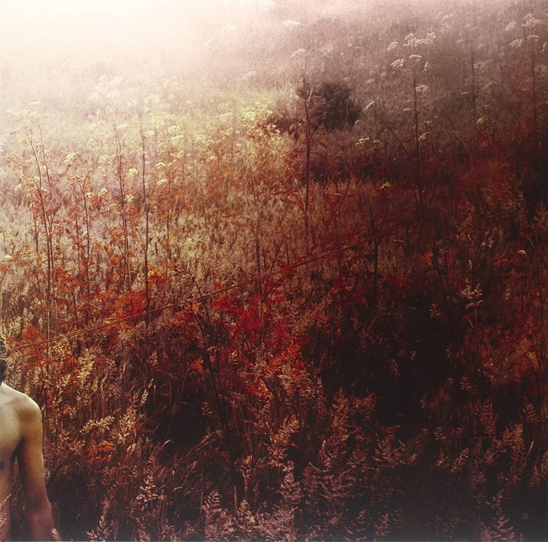 Sebastian Plano - Arrhythmical Part of Hearts (LP, Denovali)