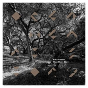 Luke Howard - Open Heart Story (LP, Universal)