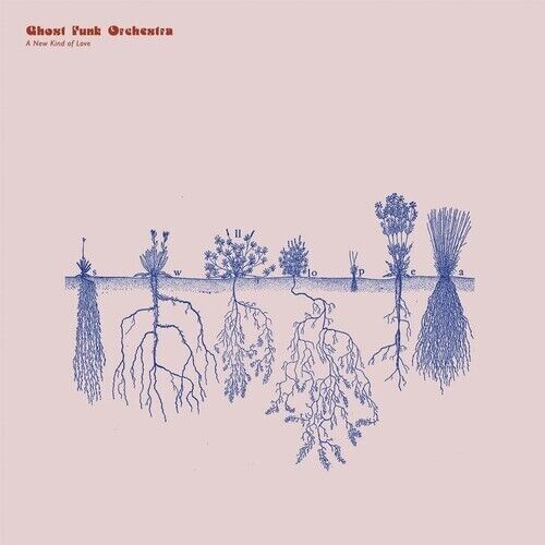 Ghost Funk Orchestra - New Kind of Love (LP, Colored, Colemine Records)