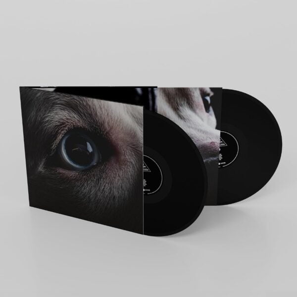 Roger Waters - Dark Side of the Moon (2LPs, Cooking Vinyl) - Image 2