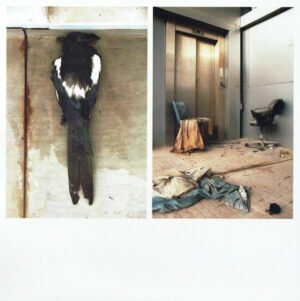 Afformance - Music For Imaginary Film (LP, United We Fly)