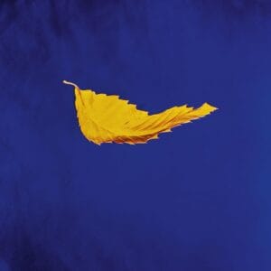 New Order - True Faith (LP, Warner)