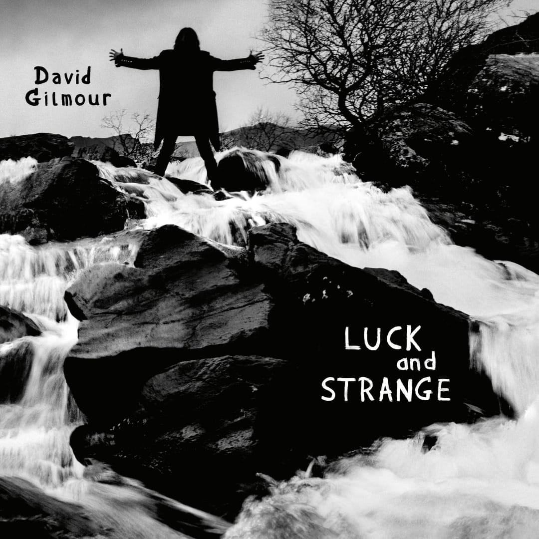 David Gilmour - Luck and Strange (LP, Sony)